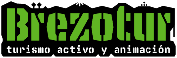 Logotipo Footer - Brezout